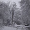 PHOTO-2021-02-19-13-53-07 (17)